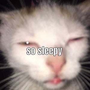 Meet your Posher, Alissa